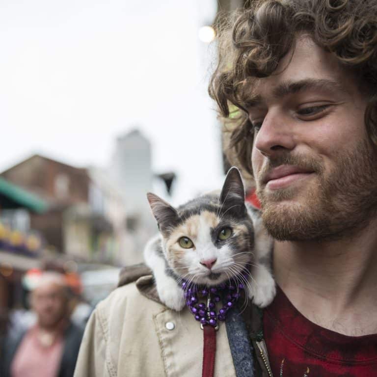 1800PetMeds Review Must Read This Before Buying