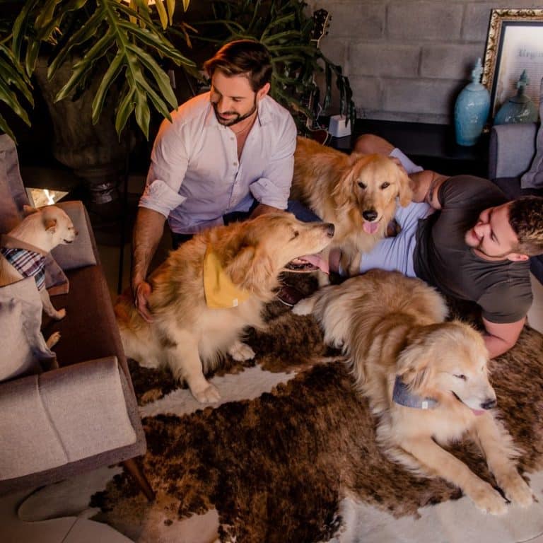 1800PetMeds Review Must Read This Before Buying