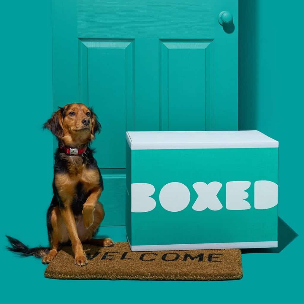 Boxed Review Must Read This Before Buying