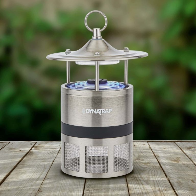 Dynatrap Insect Trap Review Must Read This Before Buying