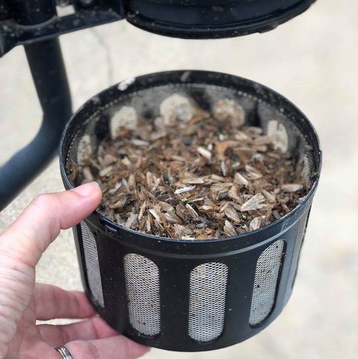 Dynatrap Insect Trap Review