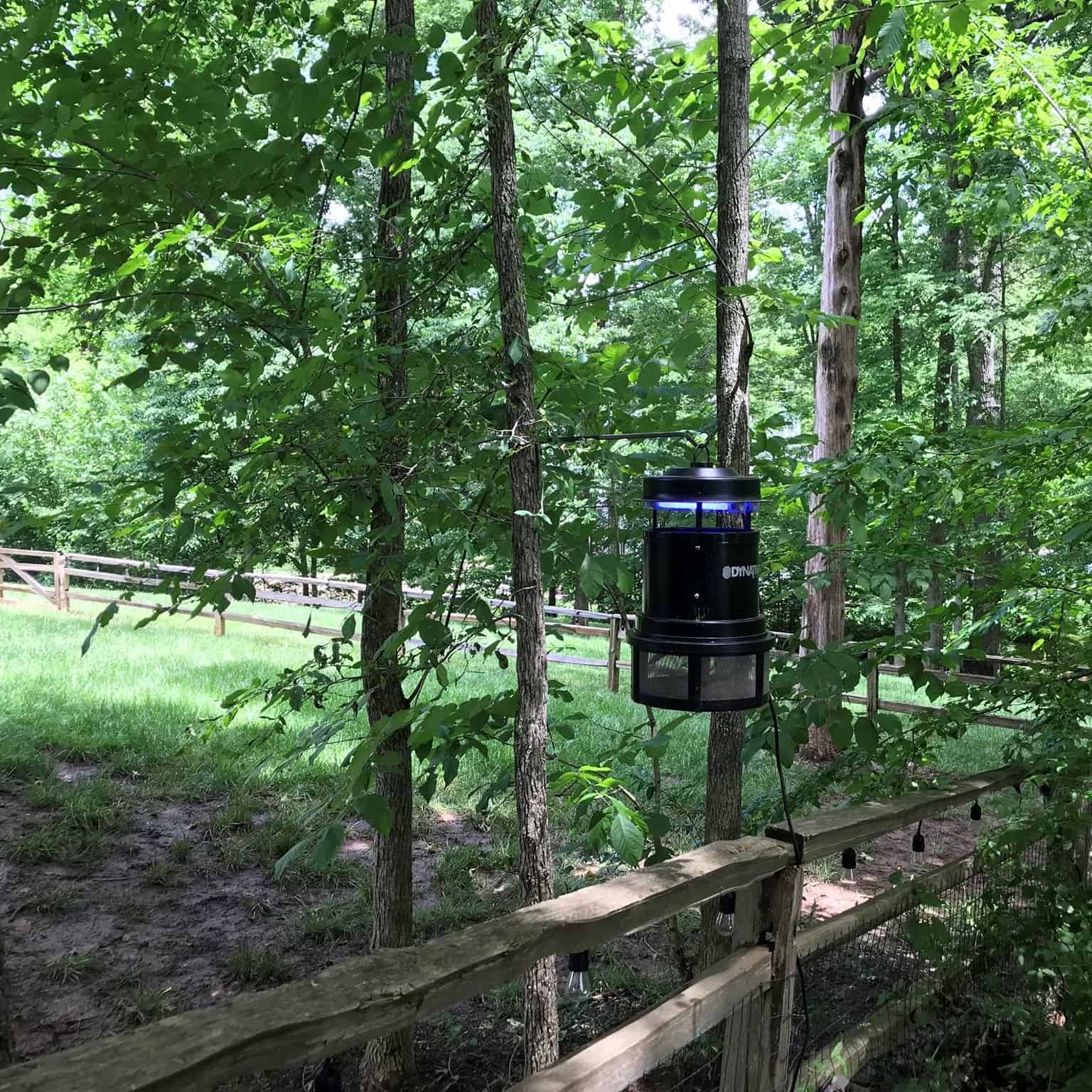 Dynatrap Insect Trap Review Must Read This Before Buying