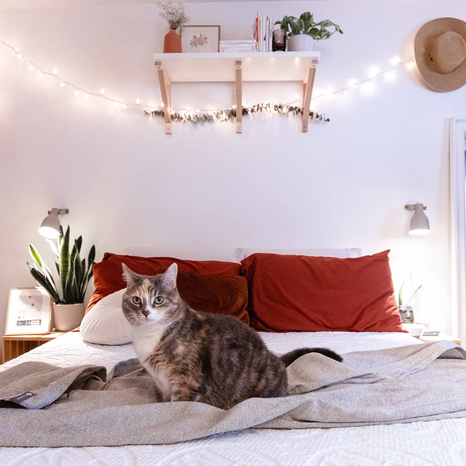 Haven Mattress Review Must Read This Before Buying