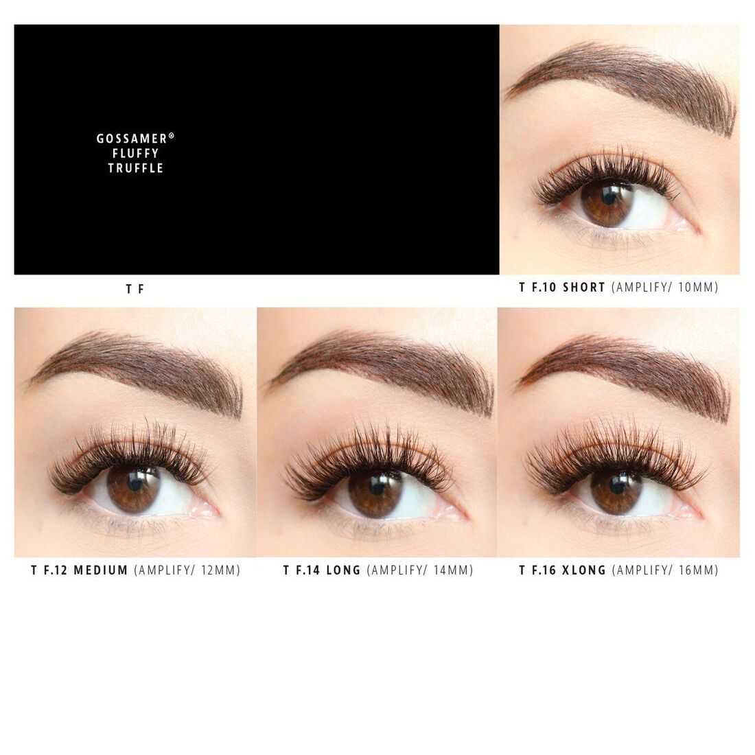 Lashify Lashes Review Must Read This Before Buying