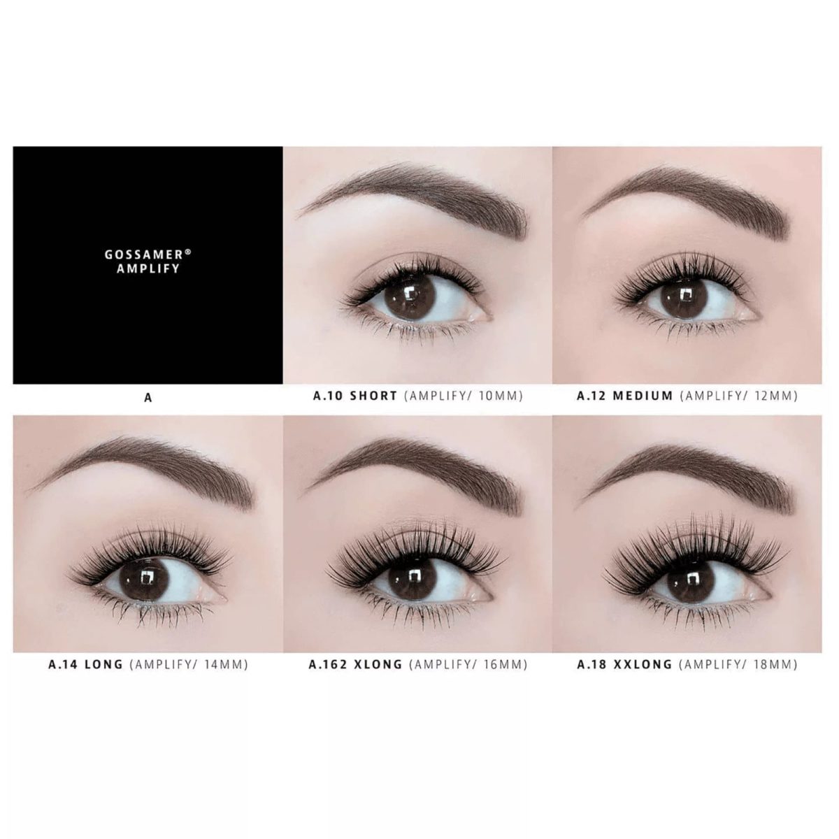 Lashify Lashes Review Must Read This Before Buying