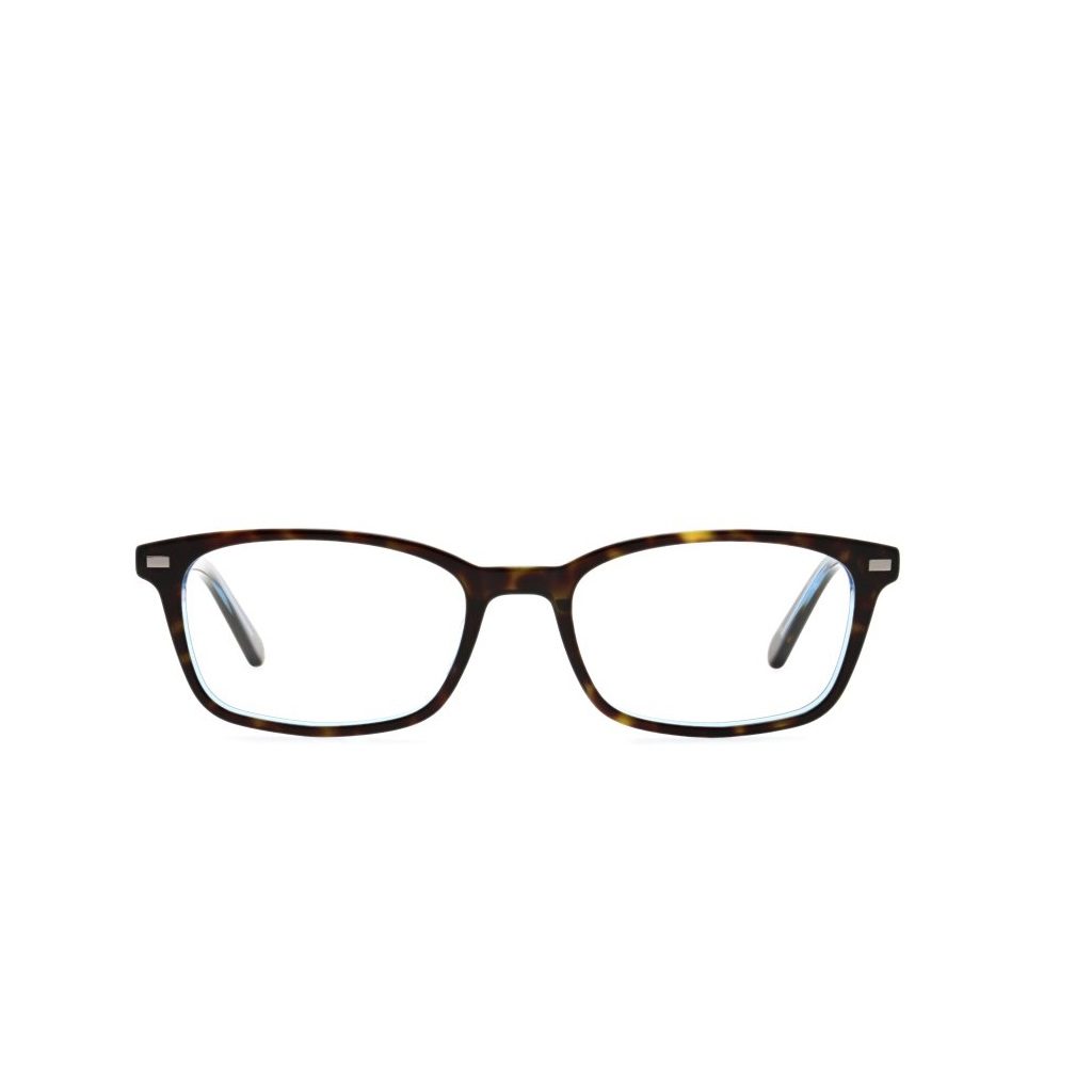 Liingo Eyewear Murray Review 