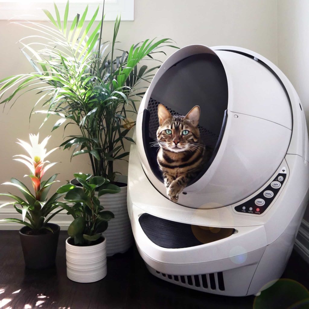 Litter-Robot Review