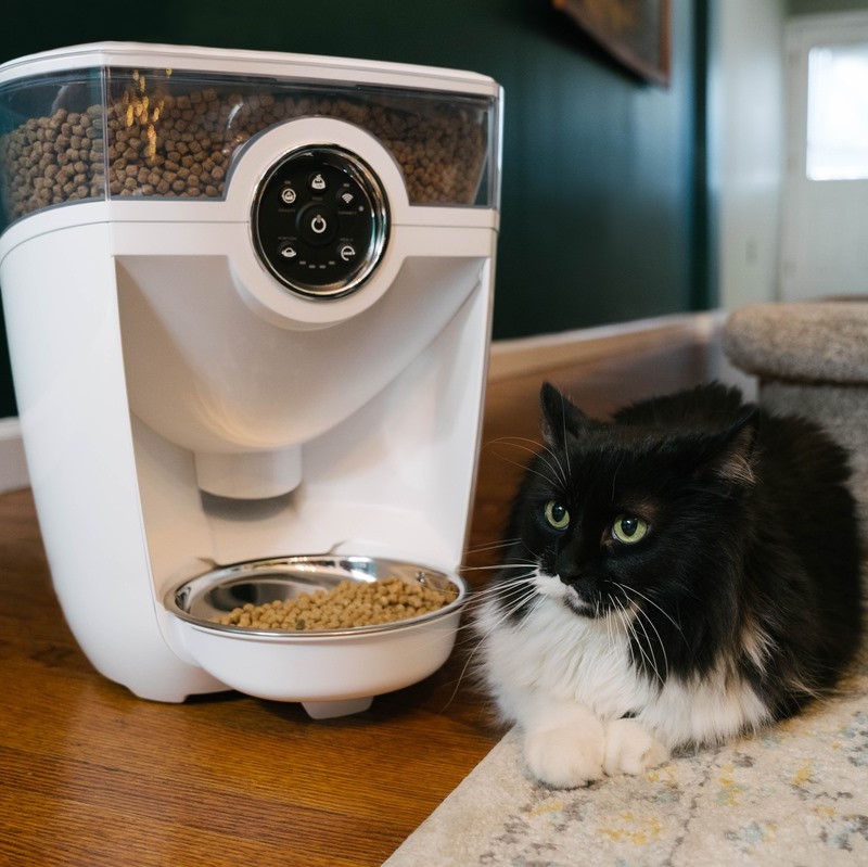 Litter-Robot Review