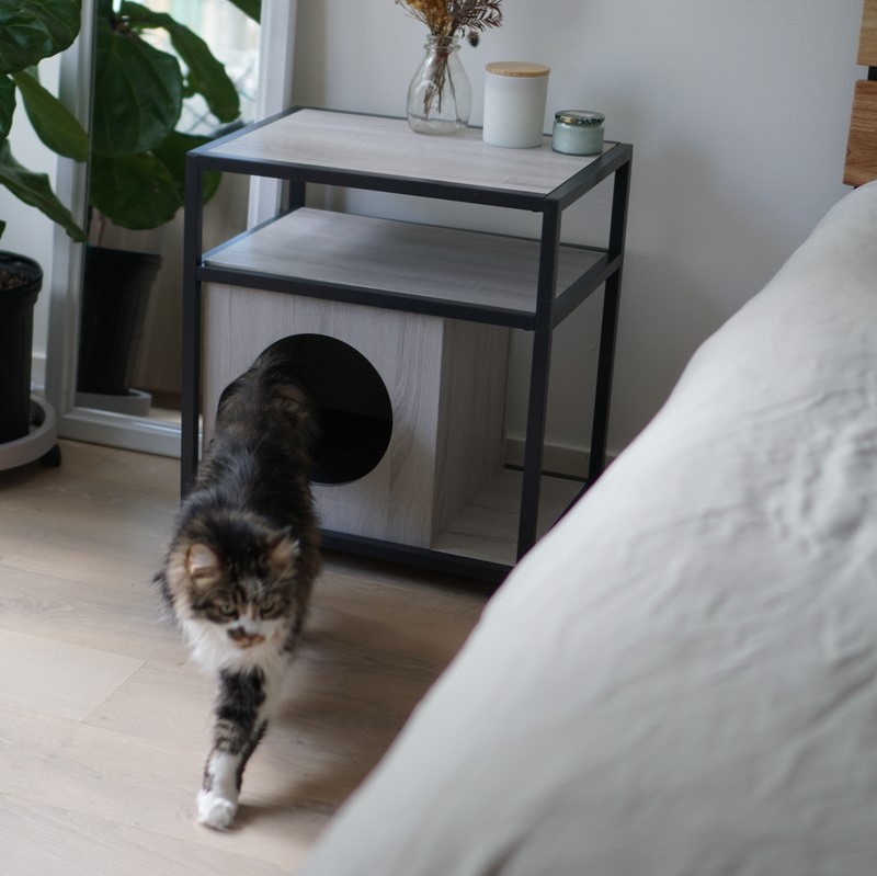 Litter-Robot Review