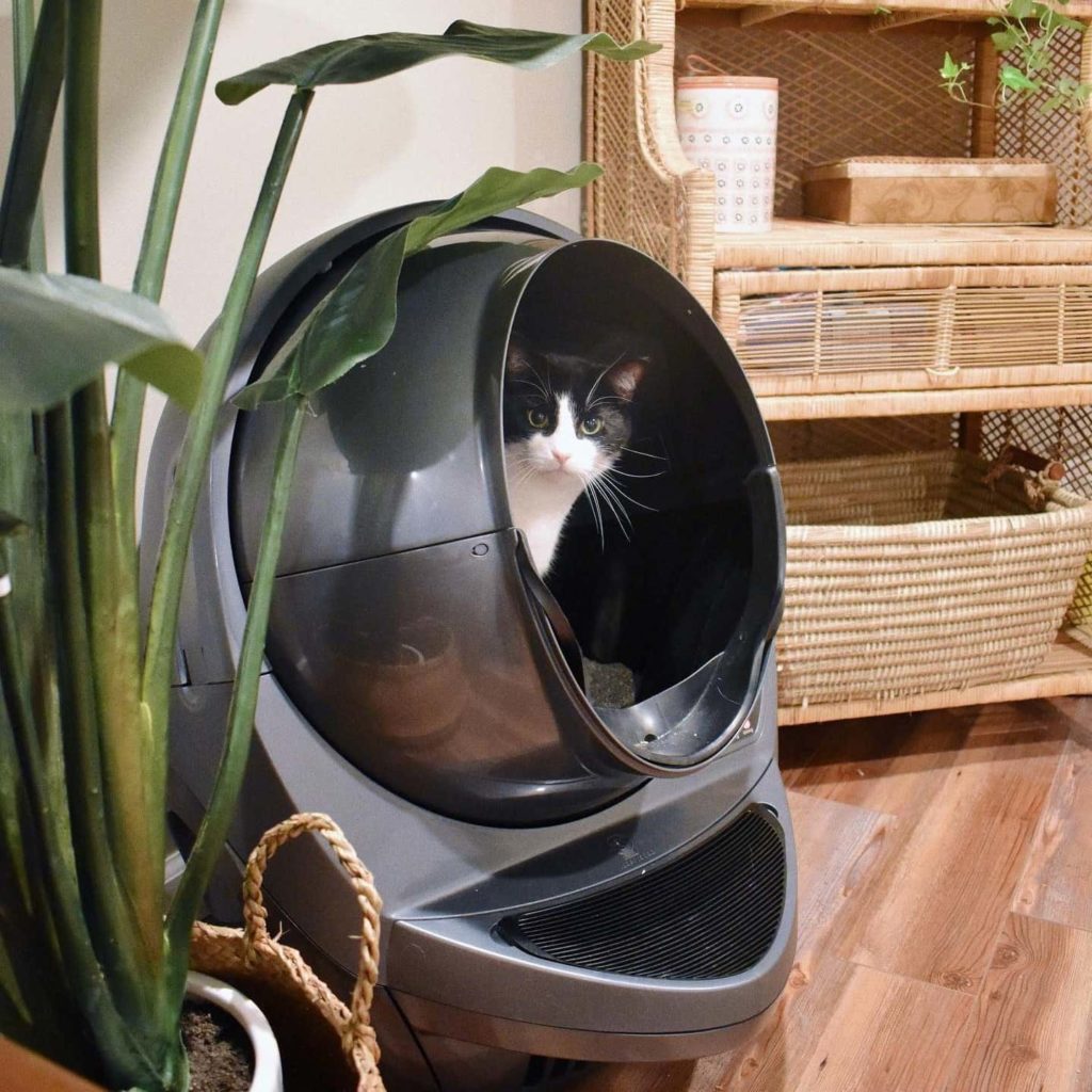 Litter-Robot Review