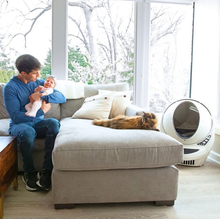 LitterRobot Review Must Read This Before Buying