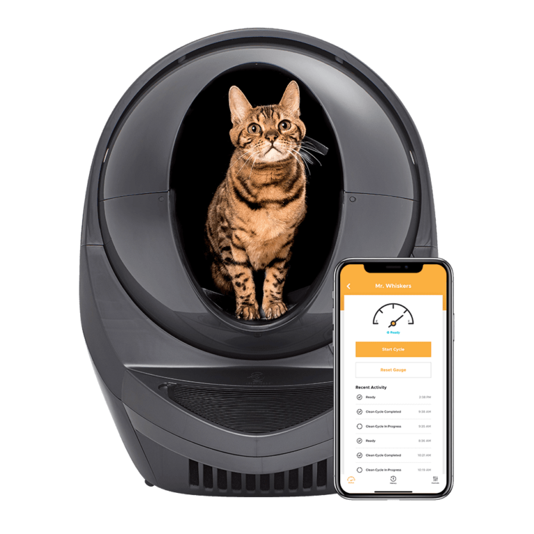 LitterRobot Review Must Read This Before Buying