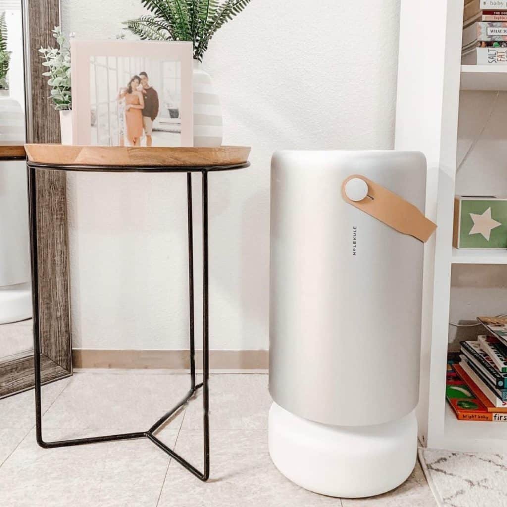 Molekule Air Purifier Review