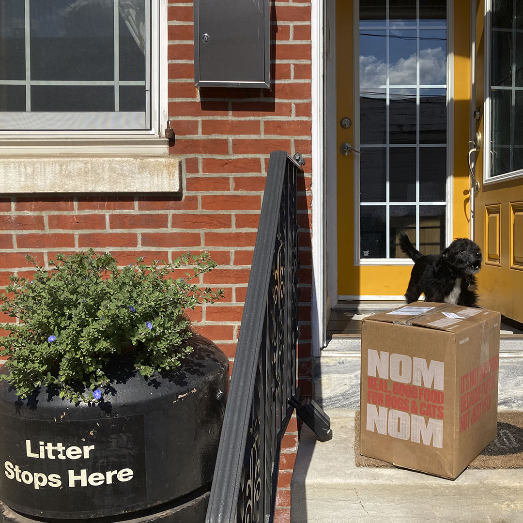 Nom Nom Pet Food Review Must Read This Before Buying