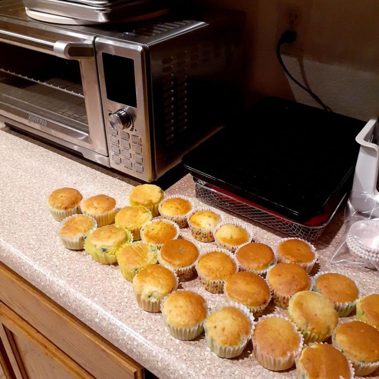 NuWave Bravo XL Review Must Read This Before Buying