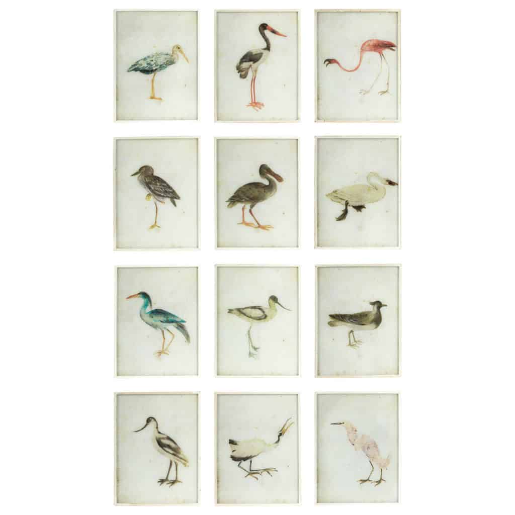 Oka Set of Twelve Bird Paintings Review