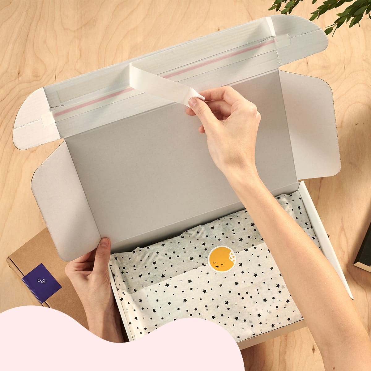 PackHelp Packaging Design Review Must Read This Before Buying
