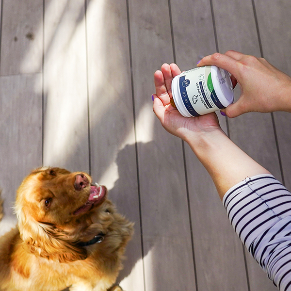 Petlab Co. Review
