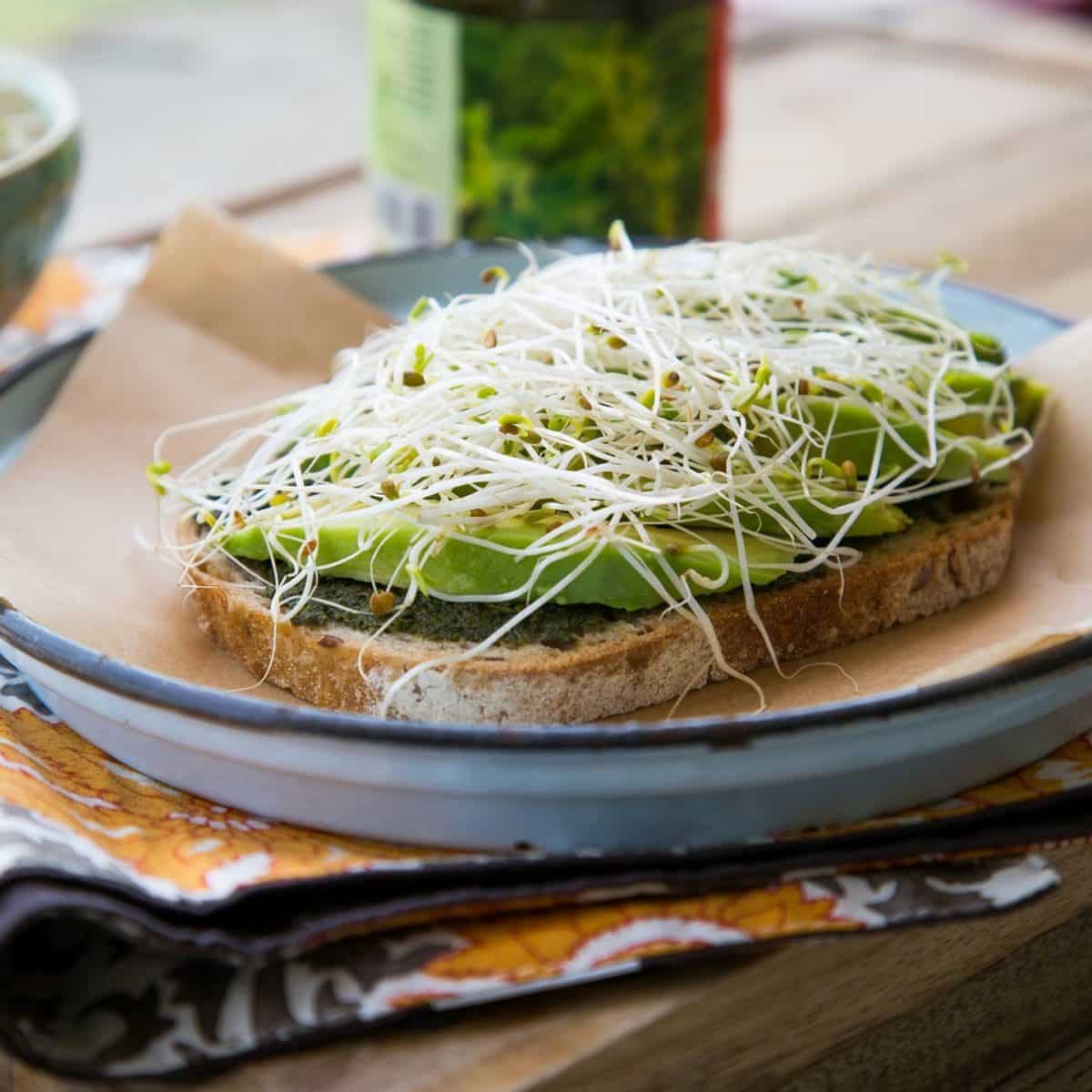 Platejoy Review Must Read This Before Buying