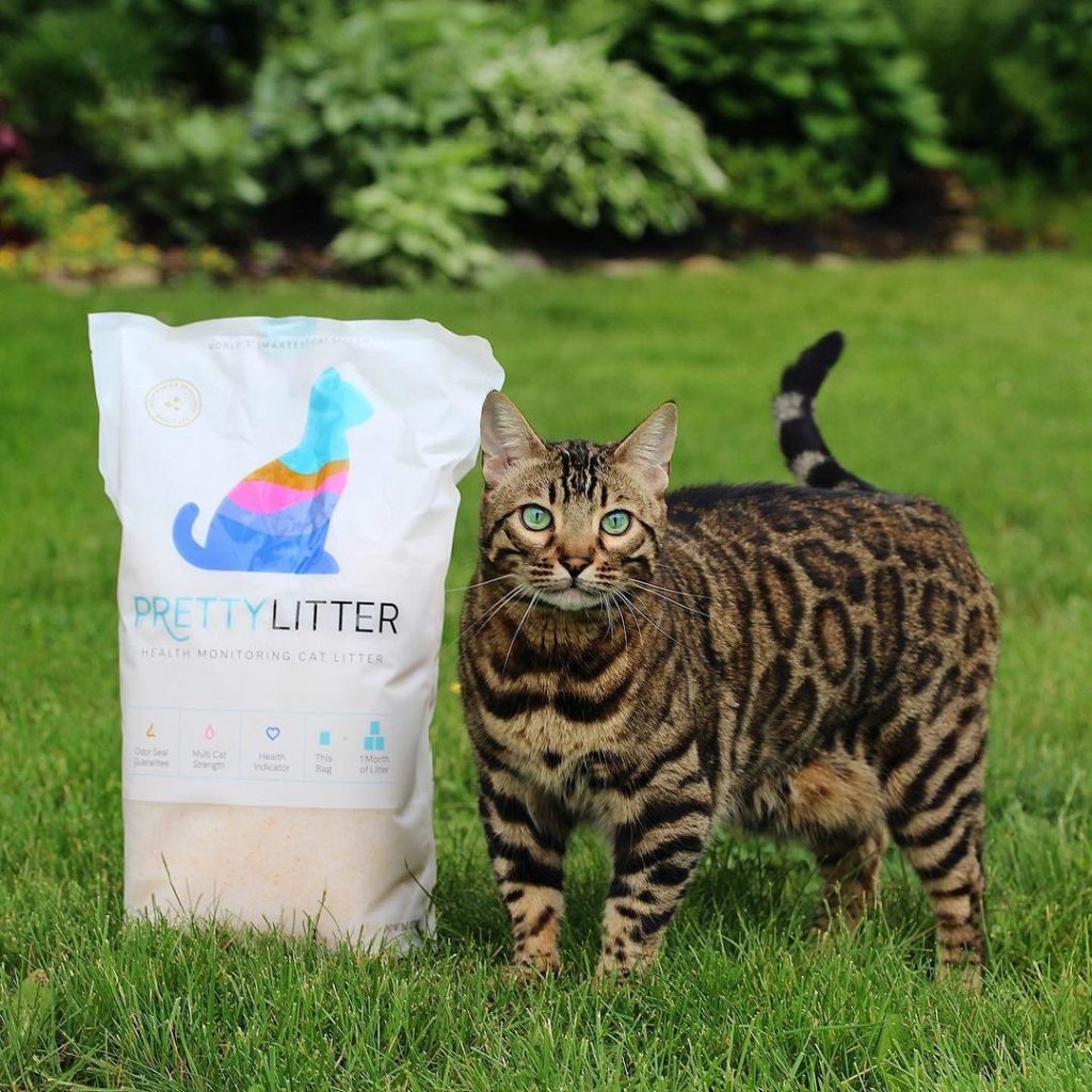 Pretty Litter Review