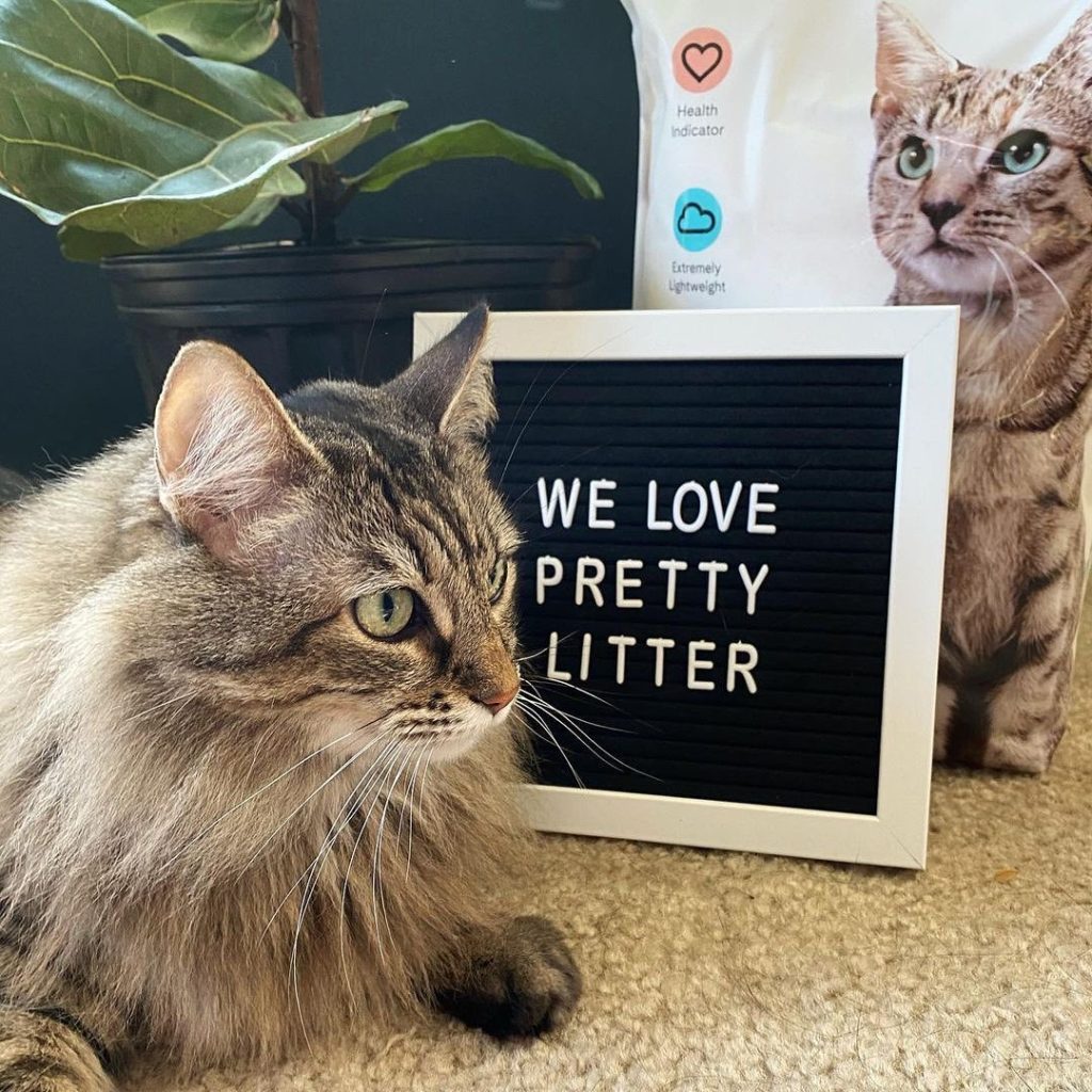 Pretty Litter Review