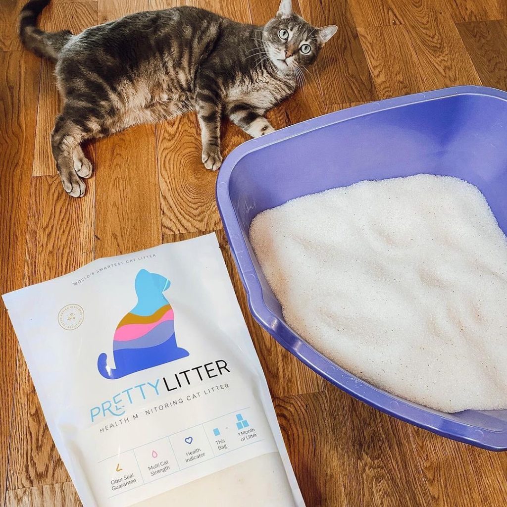 Pretty Litter Review