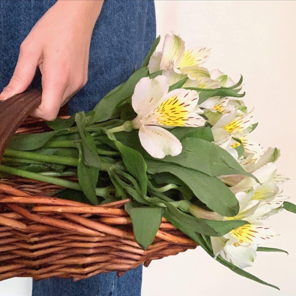 ProFlowers Review