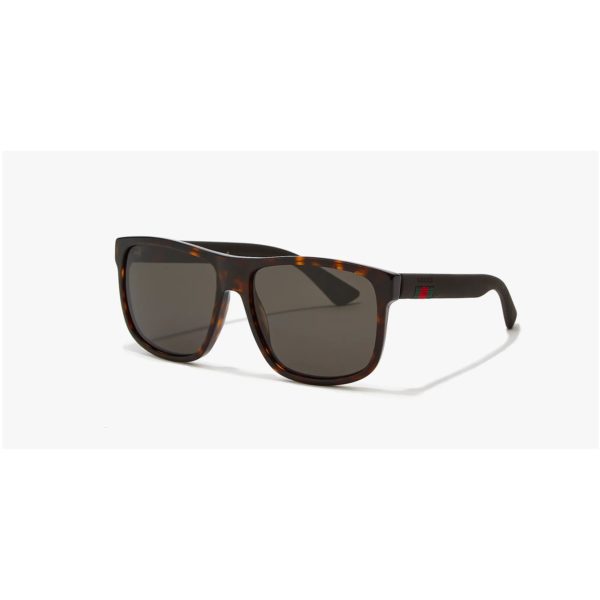 Sunglass Hut Review Must Read This Before Buying