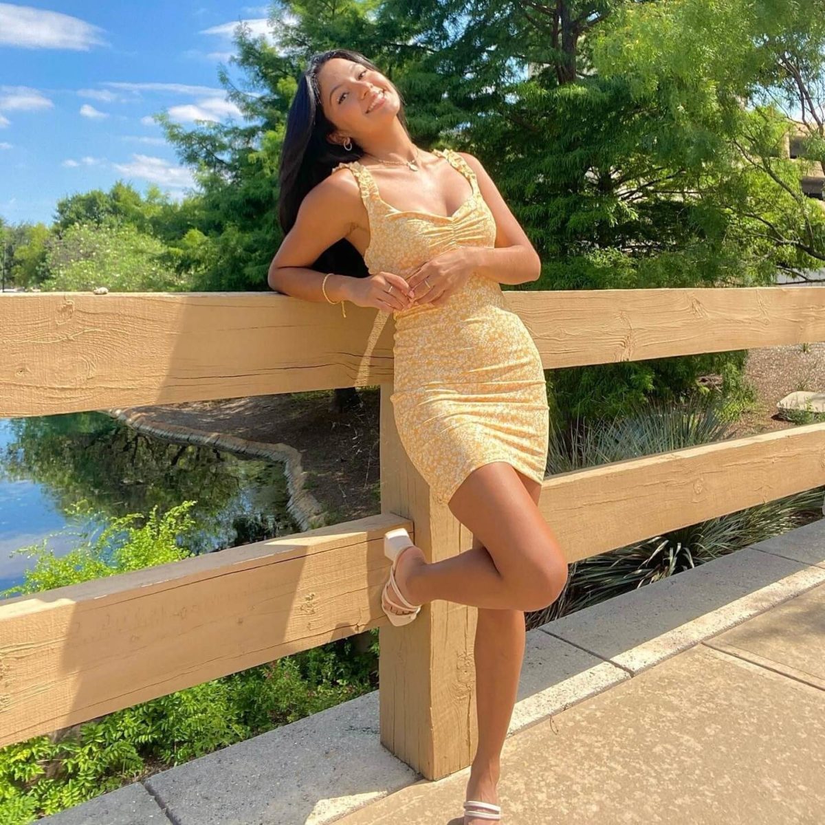 Windsor Dresses Review Must Read This Before Buying