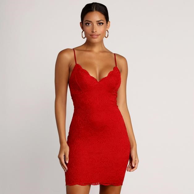 Windsor Ravishing Lace Bodycon Dress Review