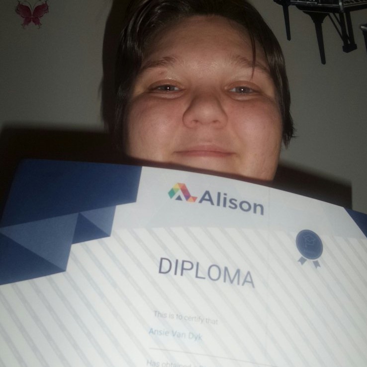 Alison Courses Review