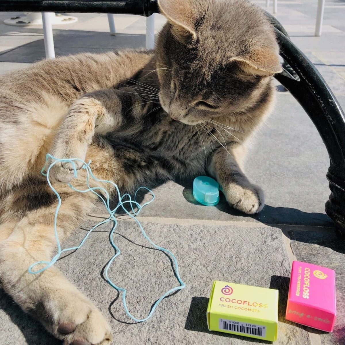 Cocofloss Review Must Read This Before Buying