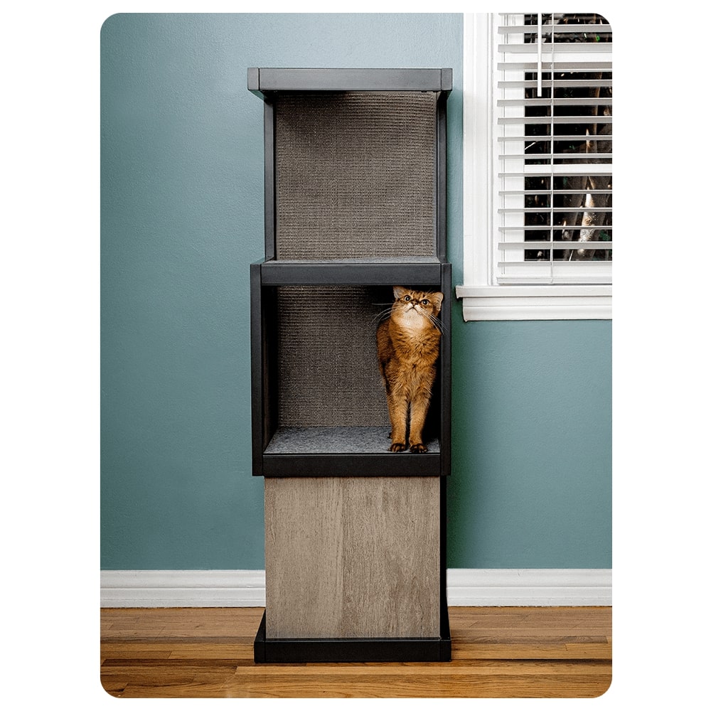 Litterbox Cat Tower Review