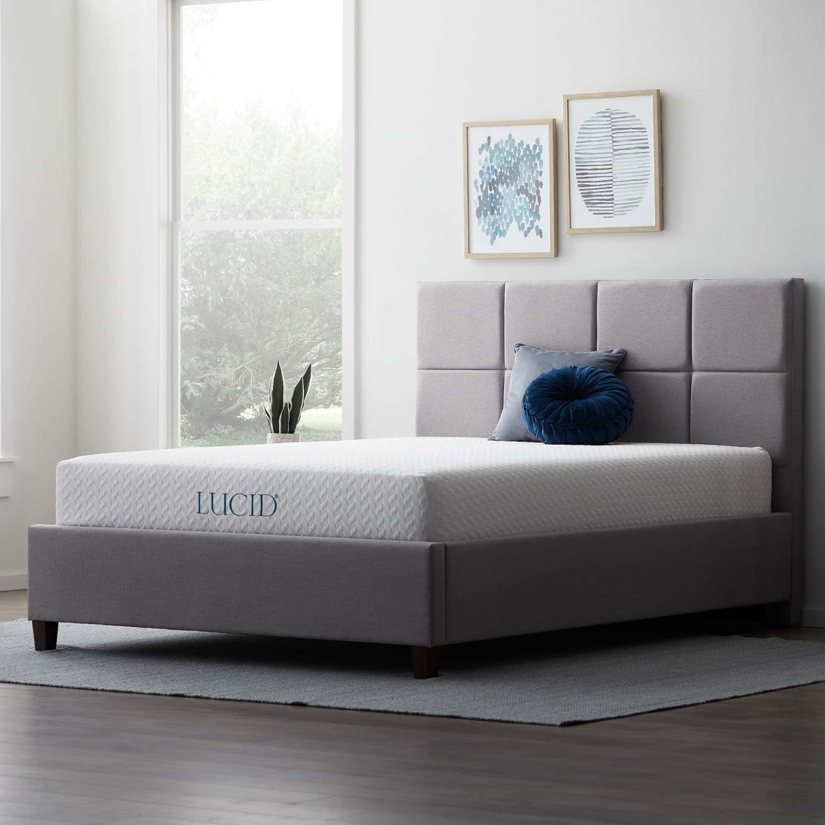 Mattress Firm Review Must Read This Before Buying