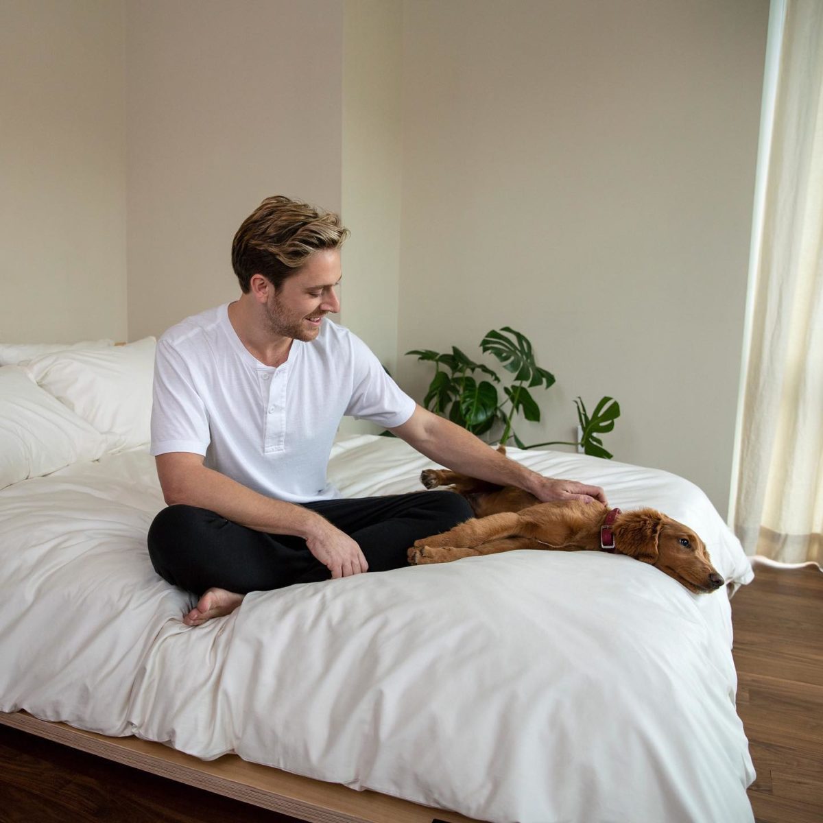 Parachute vs Brooklinen Bedding Review Must Read This Before Buying