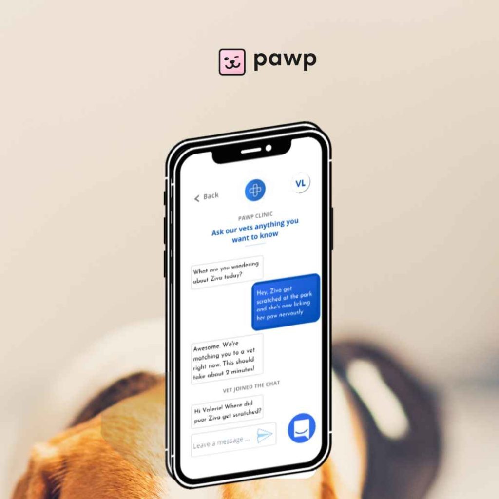 Pawp Pet Insurance Review