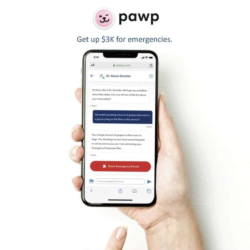 Pawp Pet Insurance Review