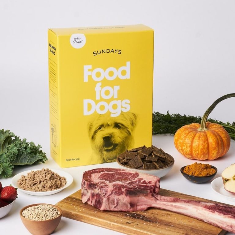 Sundays Dog Food Review Must Read This Before Buying