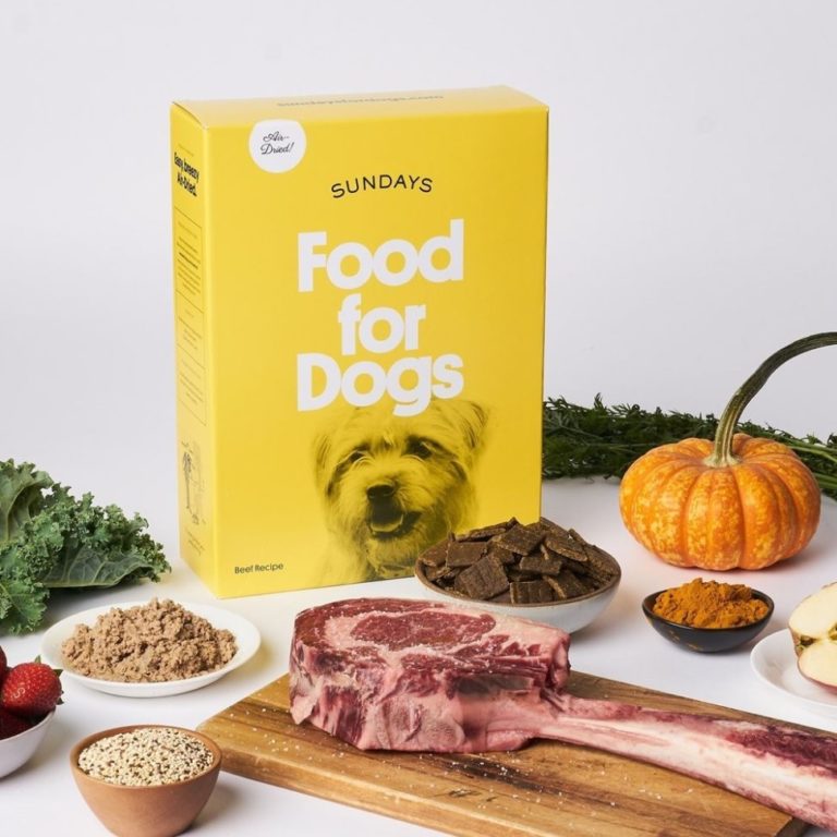 Sundays dog food