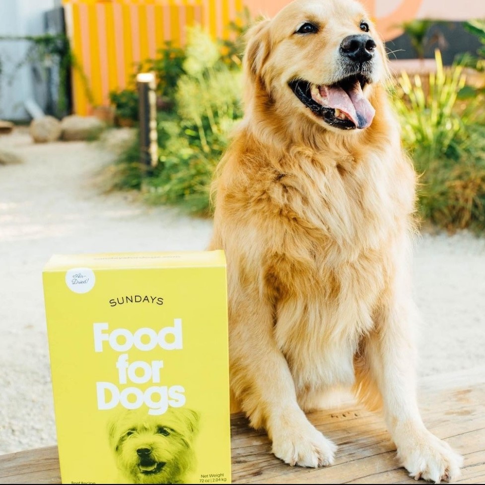 Sundays Food for Dogs Review