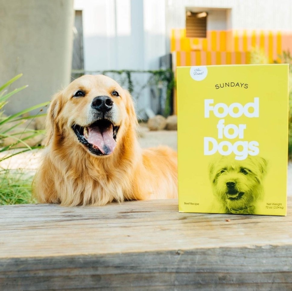 Sundays Food for Dogs Review