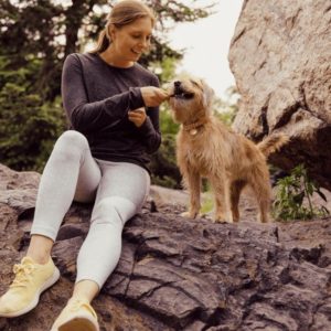 Sundays Dog Food Review - Must Read This Before Buying