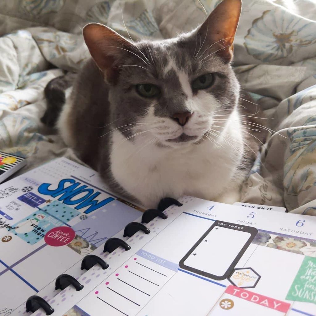 The Happy Planner Review