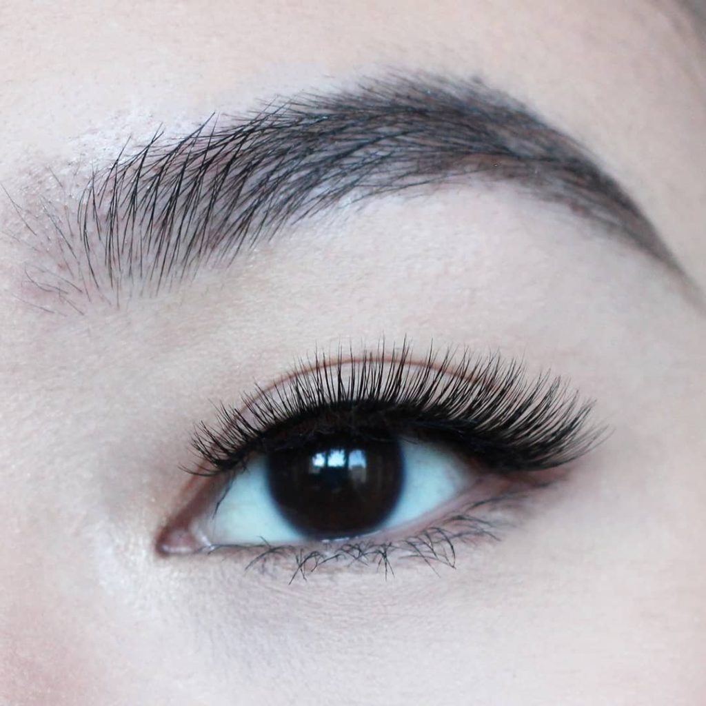 Velour Lashes Review