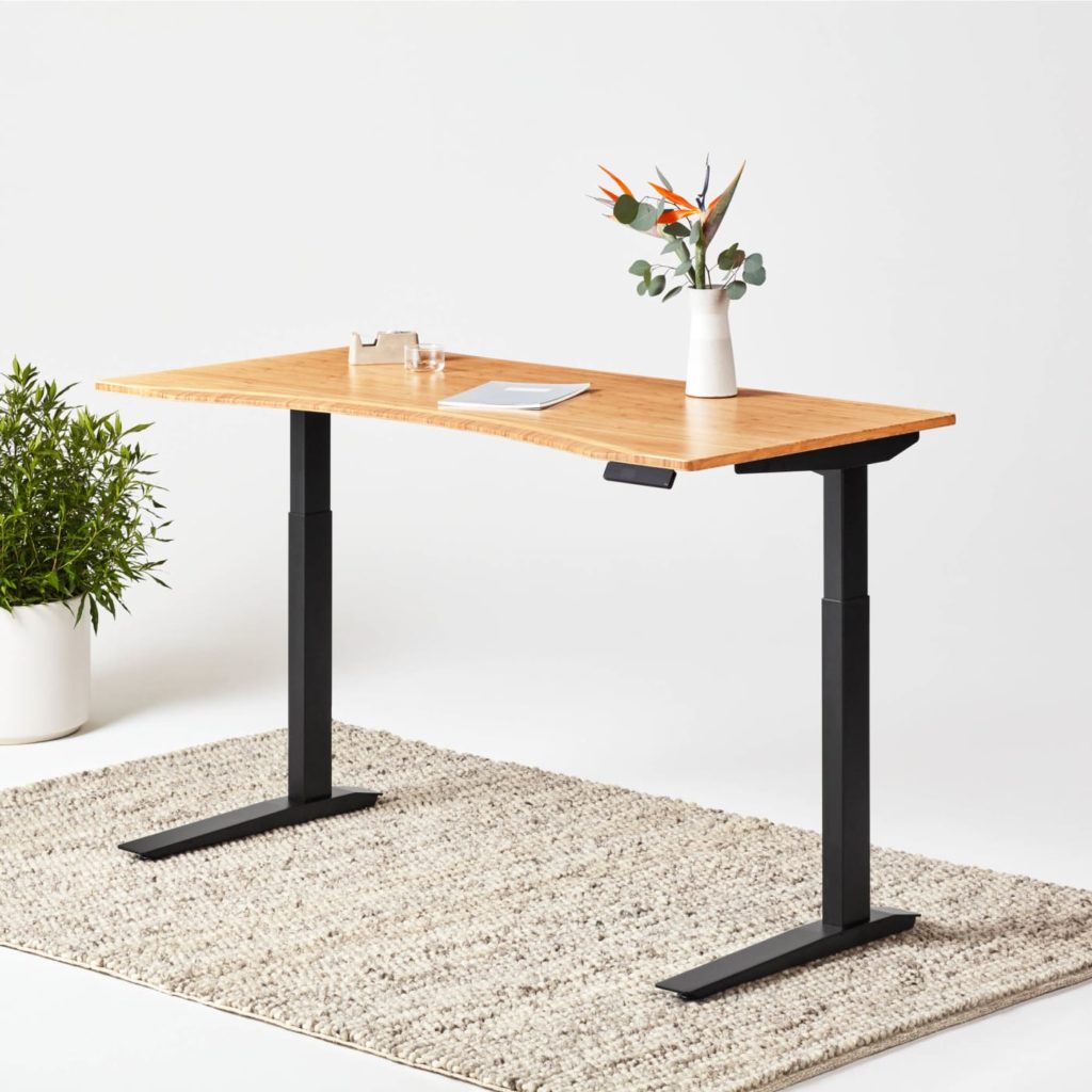 10 Best Standing Desk Brands