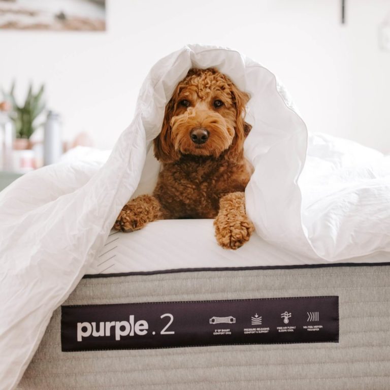 11 Best Mattress Brands Must Read This Before Buying