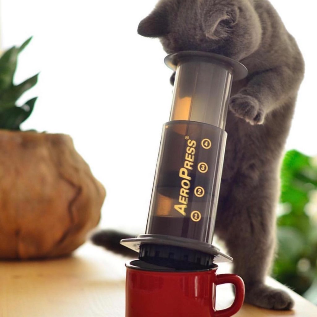 AeroPress Coffee Maker Review