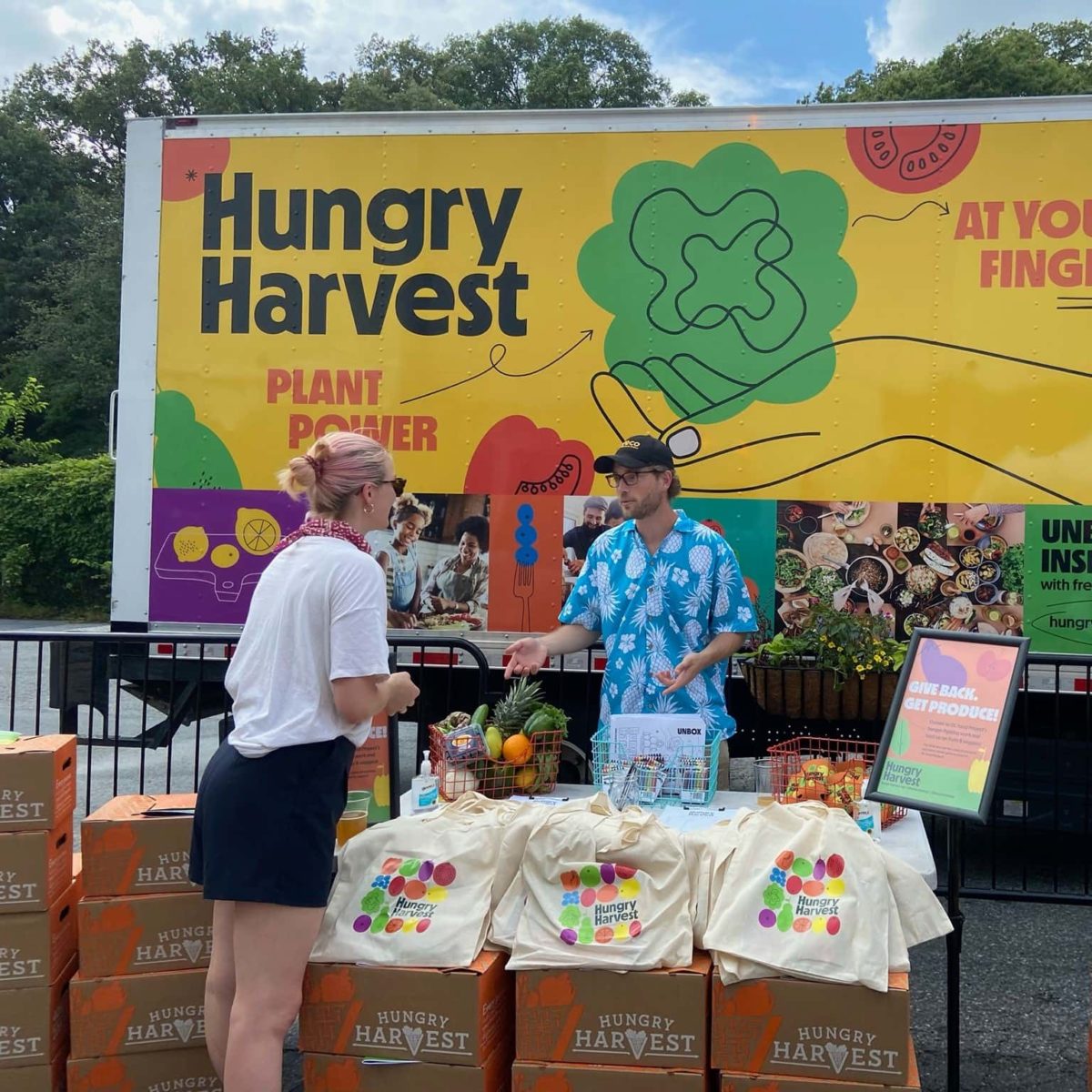 Hungry Harvest Review Must Read This Before Buying