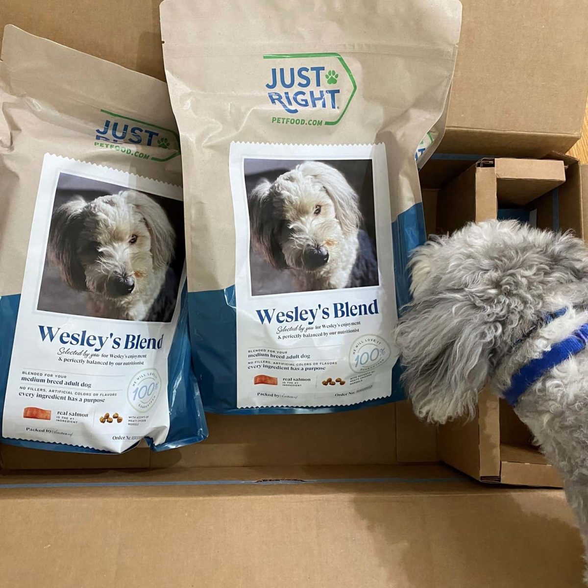 Just Right Pet Food Review Must Read This Before Buying