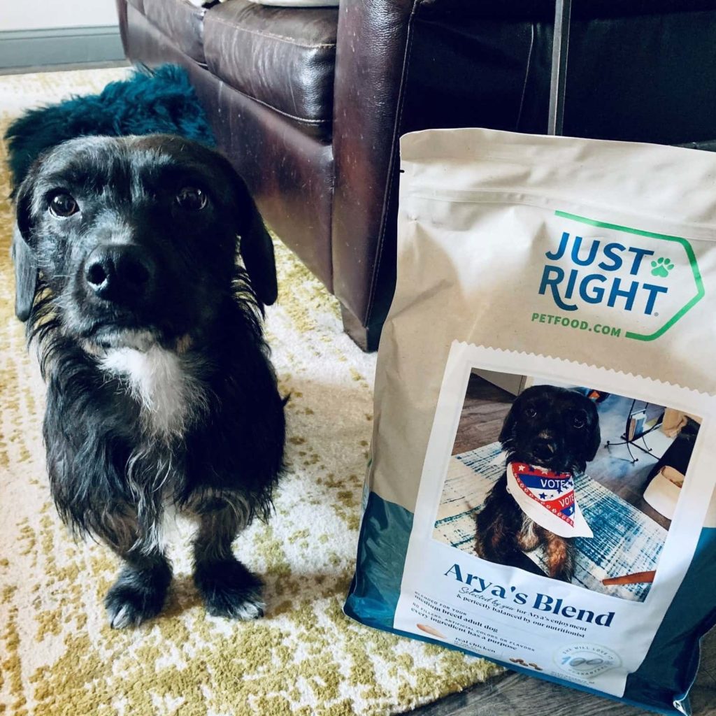 Just Right Pet Food Review